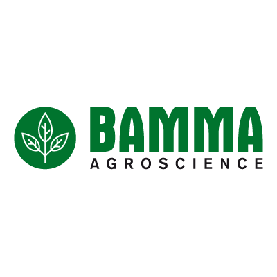 03 Logo BAMMA
